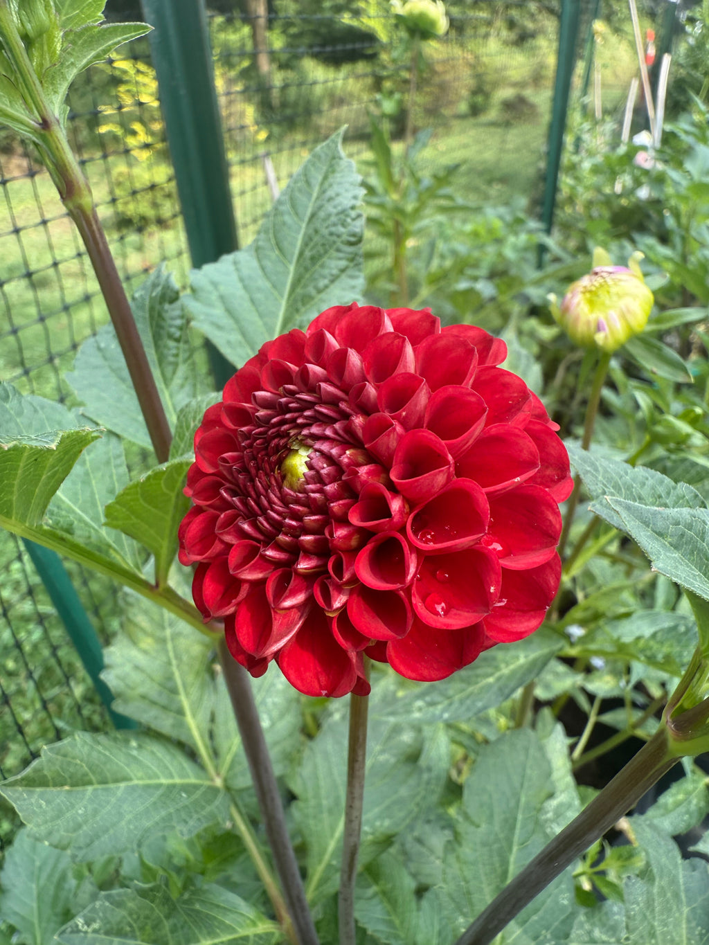 Bloomquist Paul Jr. $10