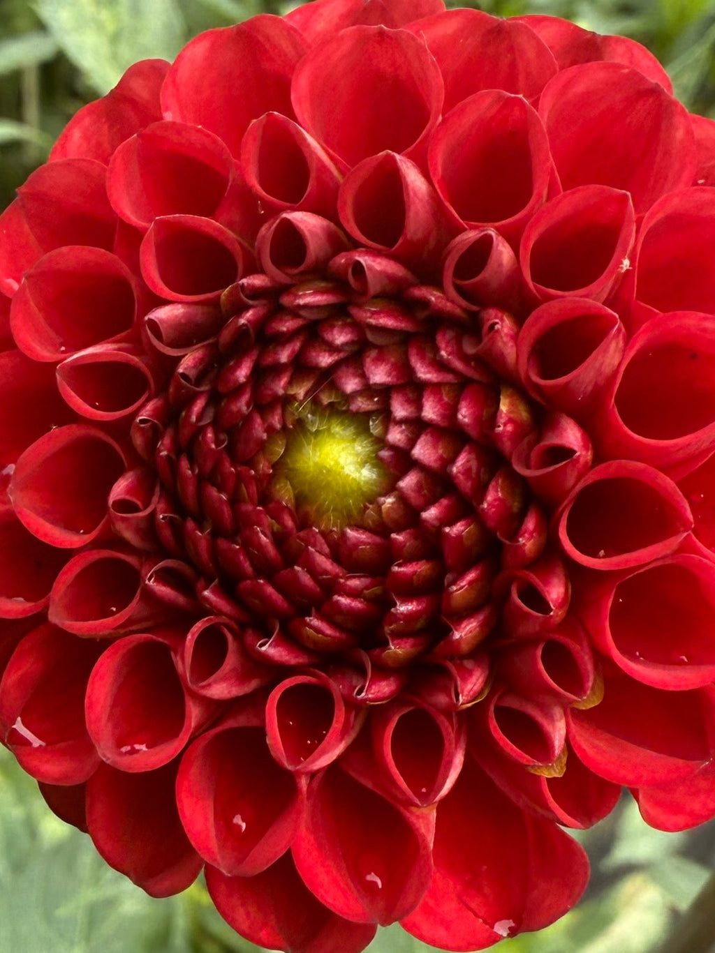 Bloomquist Paul Jr. $10