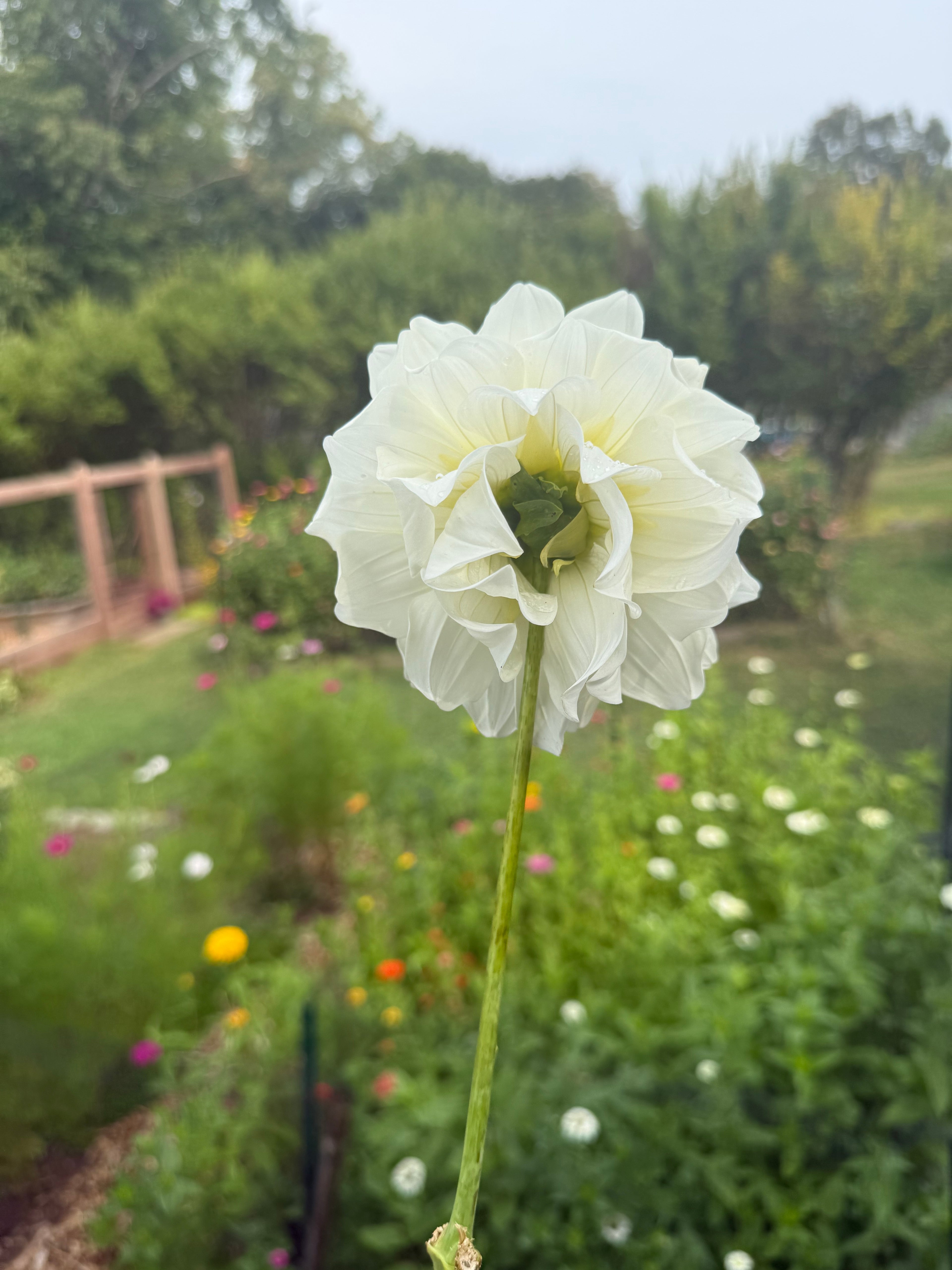 Sterling Silver $11